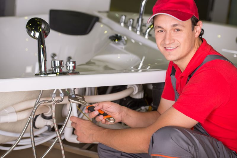 Professional Plumbers